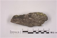 藏品(殼狀地衣)的圖片